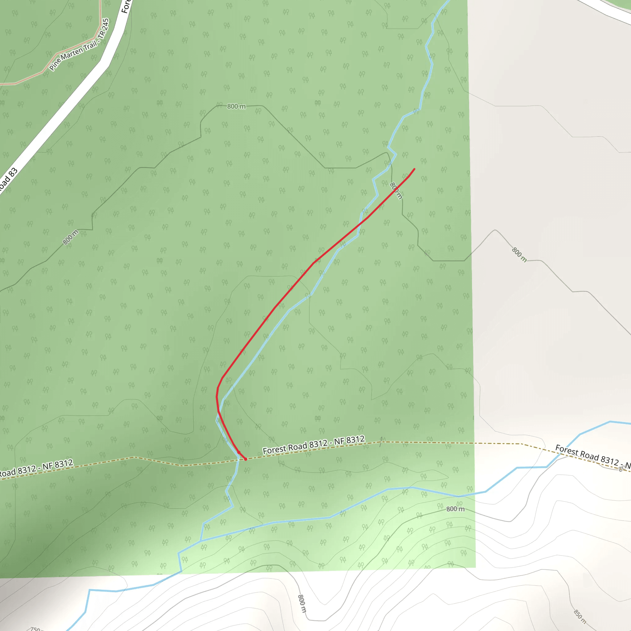 Muskrat Trail mobile static map
