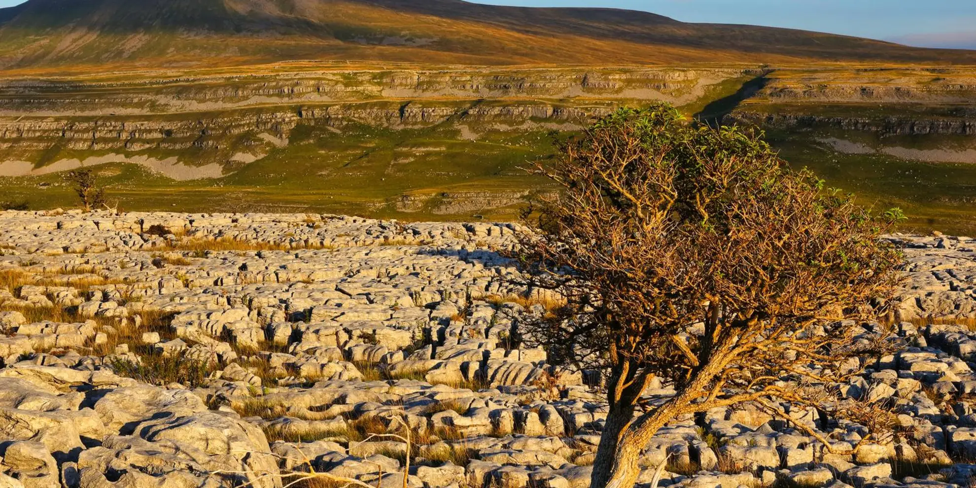 An image depicting the trail Ingleborough from Chapel-le-Dale and its surrounding area.