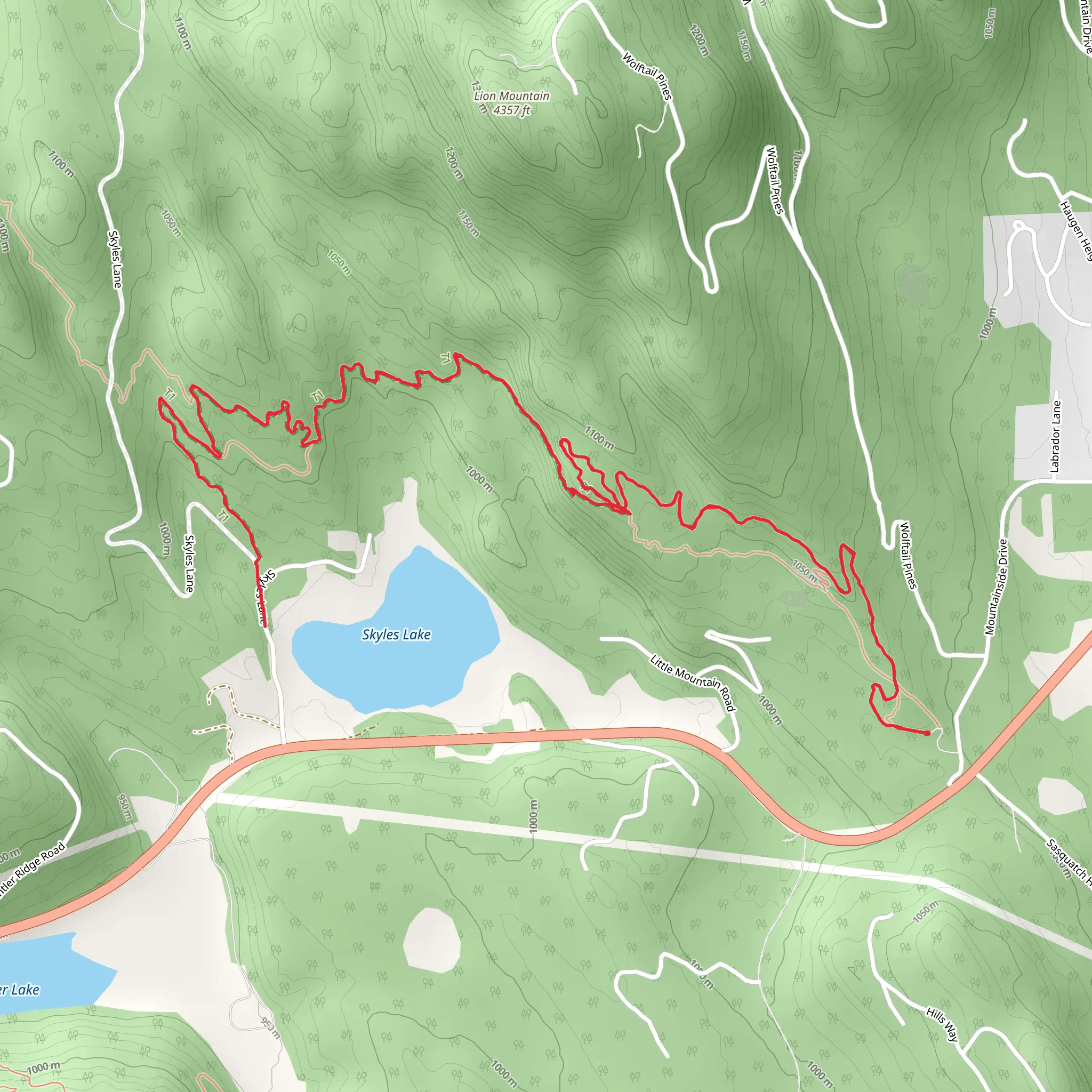 Whitefish Trail - Skyles Lake Overlook and Connector Trail mobile static map