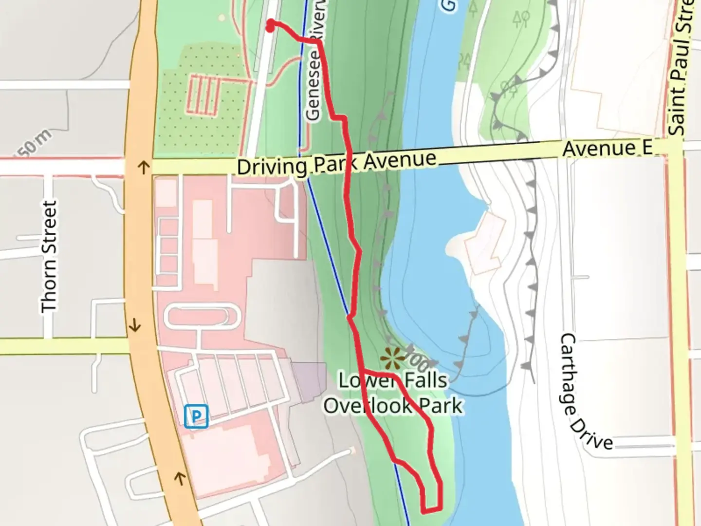 An image depicting the trail Lower Falls Loop and its surrounding area.