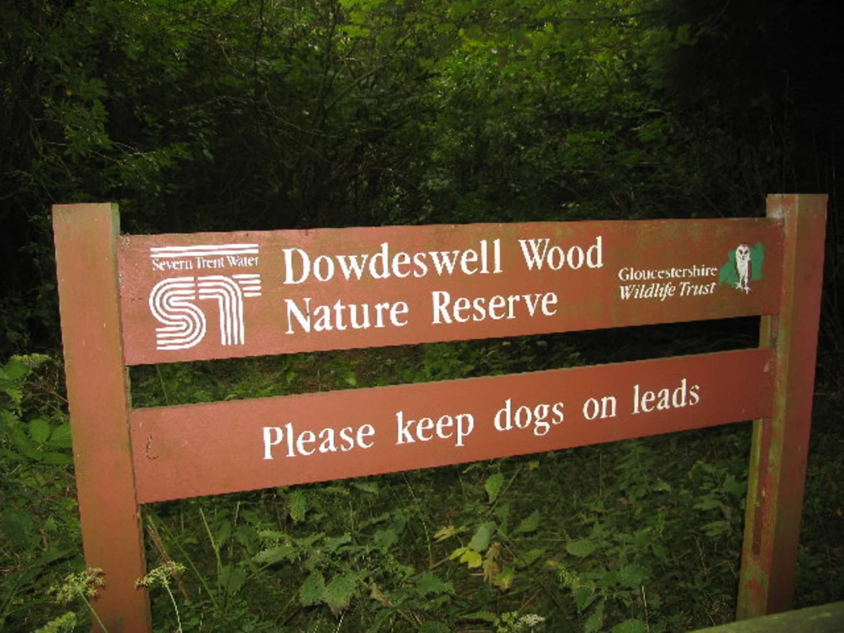 Dowdeswell Wood and Reservoir Loop