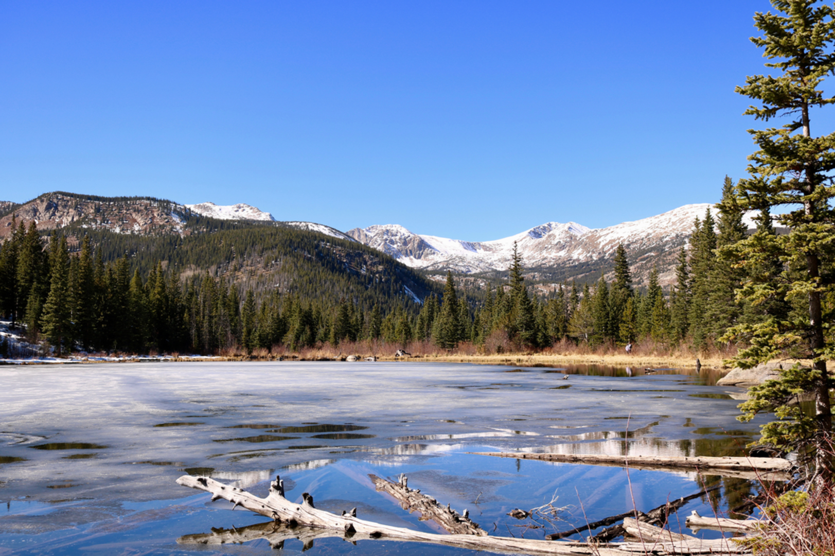 An image depicting the trail Reynolds Ranch Trail and its surrounding area.