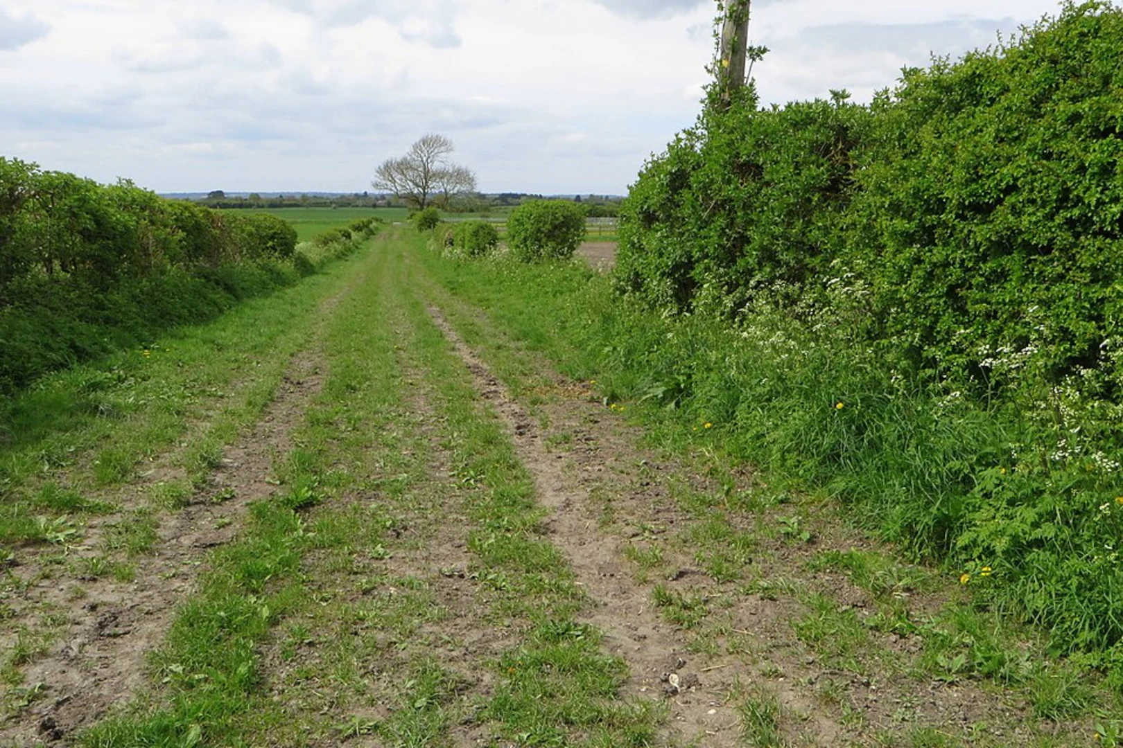 An image depicting the trail Totternhoe Nature Reserve Loop and its surrounding area.