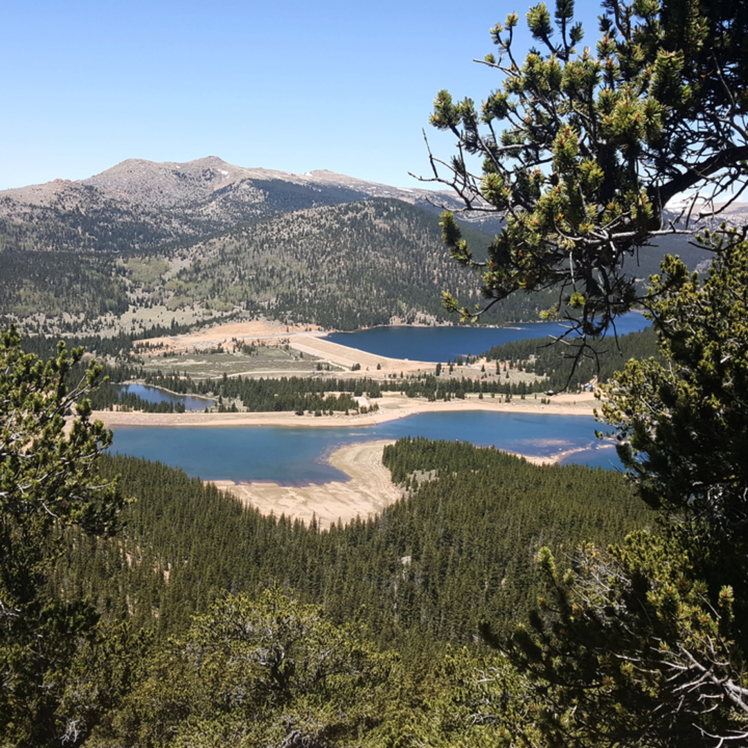 An image depicting the trail Foresters Trail and its surrounding area.
