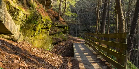 An image depicting the trail Starved Rock State Park and its surrounding area.