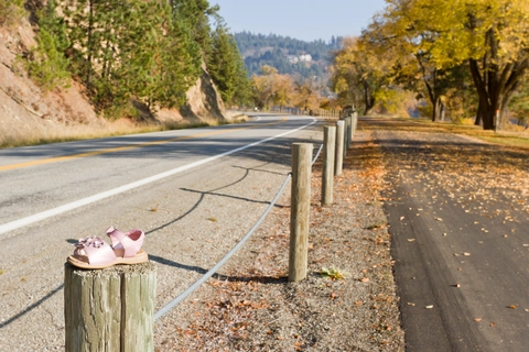 Idaho Centennial Trail