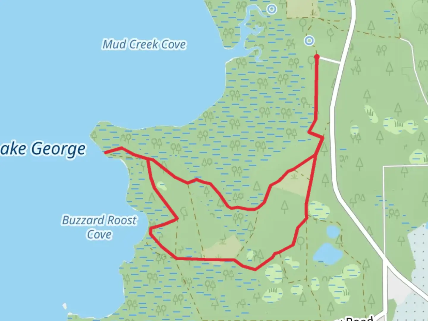 An image depicting the trail Indian Pond Road Loop and its surrounding area.