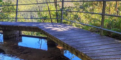 An image depicting the trail Pupu Hydro Walkway and its surrounding area.