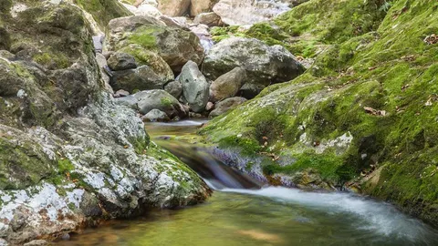 Wentworth - Mines Walk