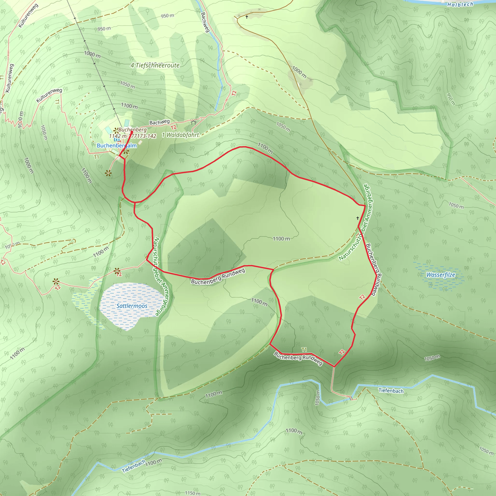 Buchenberg Rundweg Loop mobile static map