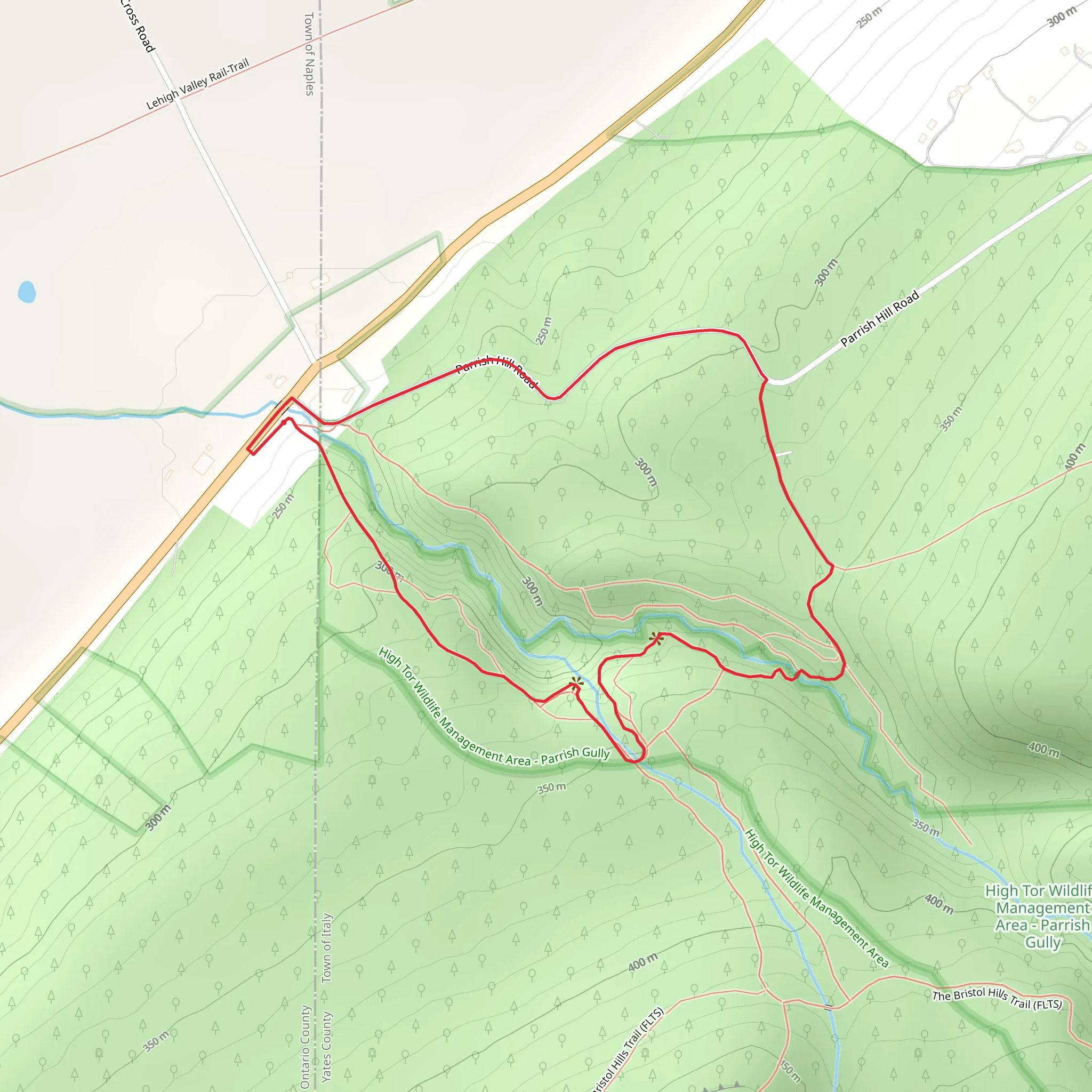 Parrish Gully Ridge Loop Trail mobile static map