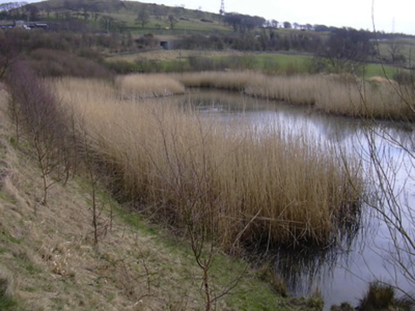 An image depicting the trail Peel Park, Castle Clough Wood and Leeds and Liverpool Canal Loop and its surrounding area.