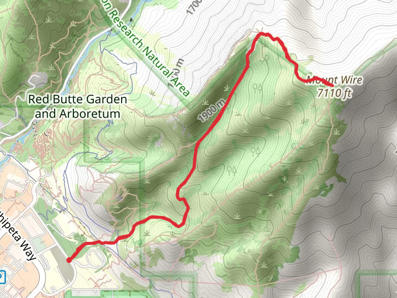 Mount Wire via Red Butte Trail