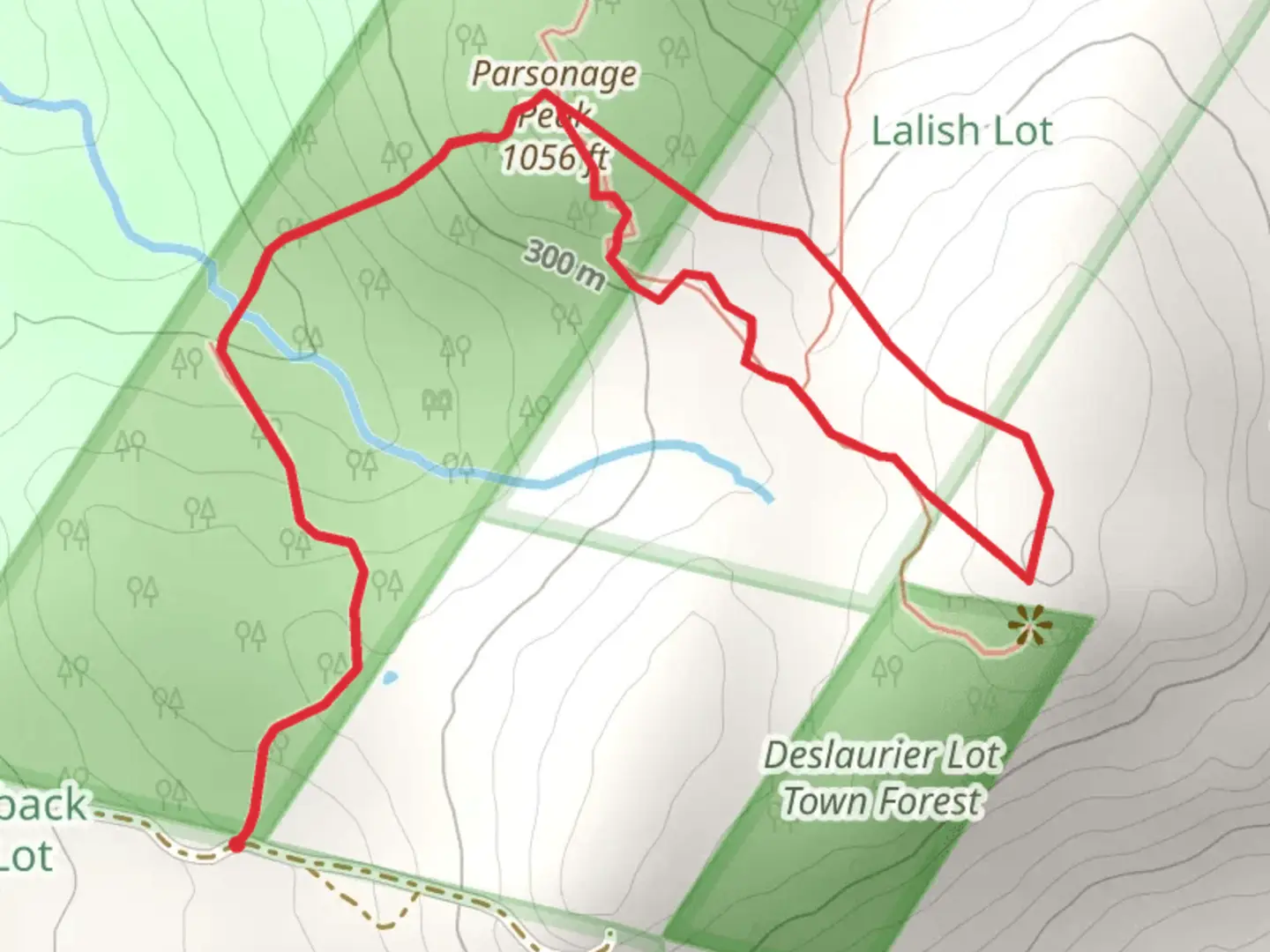 An image depicting the trail Parsonage Peak and Saddleback Mountain Loop and its surrounding area.