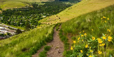 An image depicting the trail Carter Lake Loop Trail and its surrounding area.