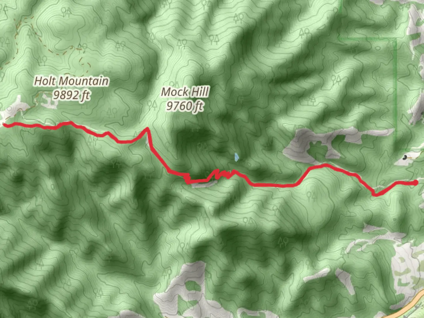 An image depicting the trail Lewis Creek Trail and its surrounding area.