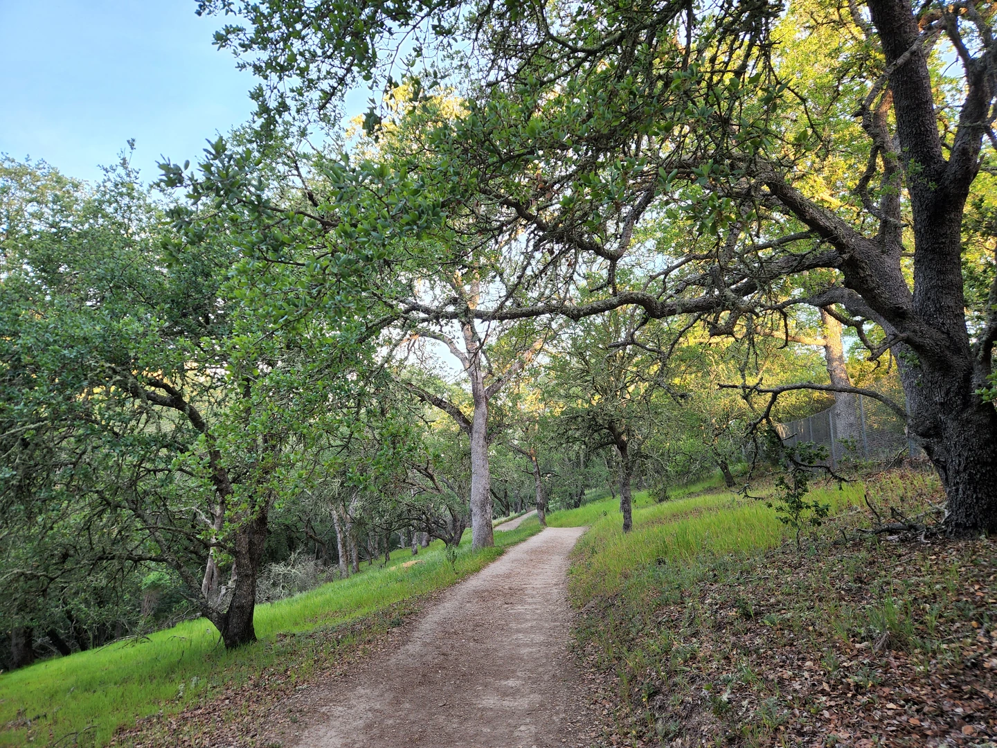 An image depicting the trail Belgatos Park and its surrounding area.