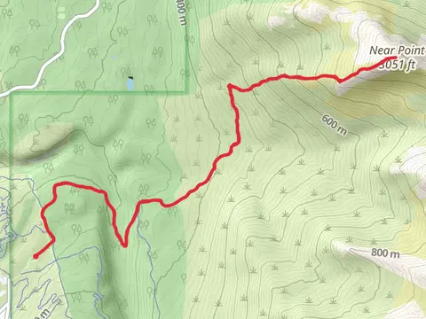 Near Point via Wolverine Trail