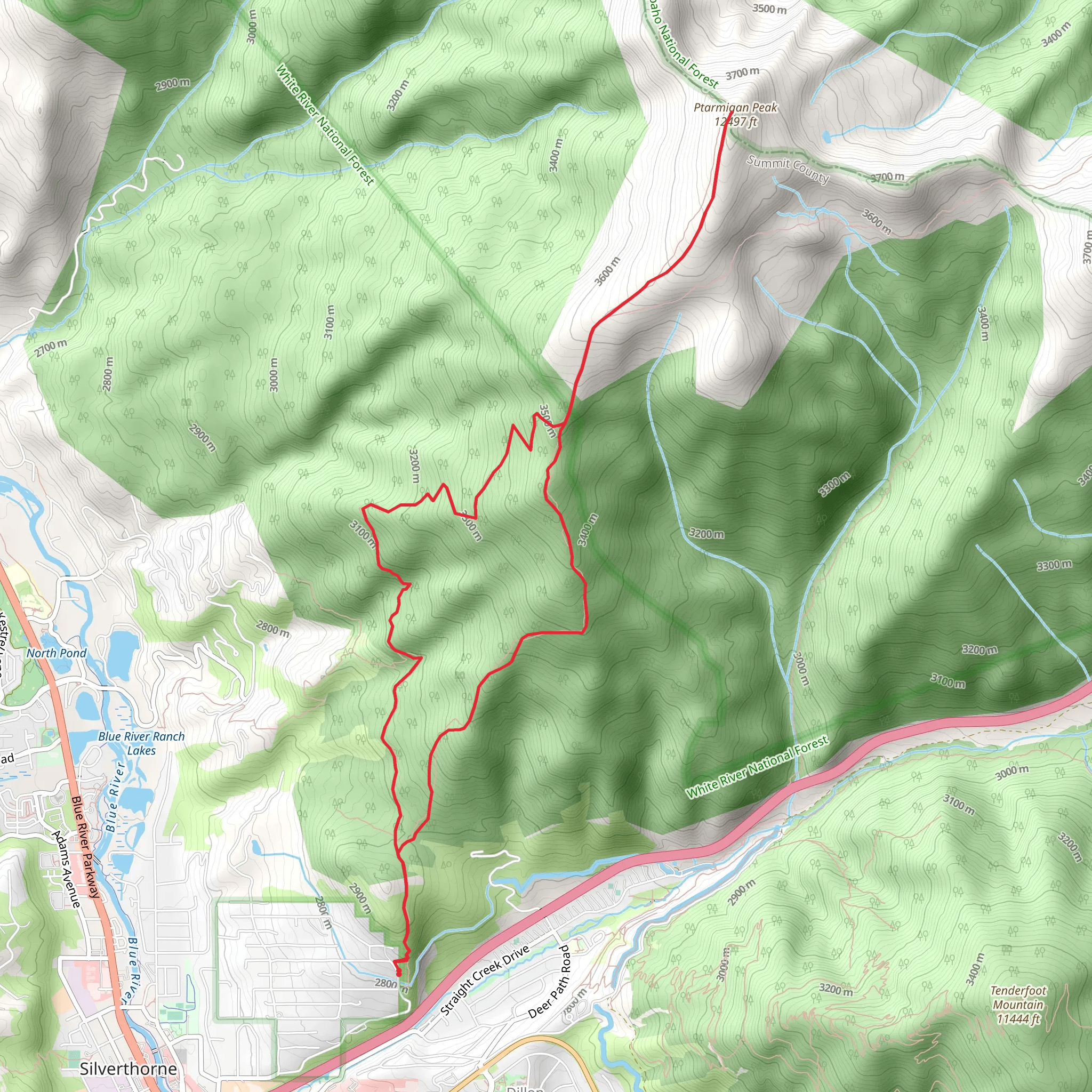 Ptarmigan Loop Trail mobile static map