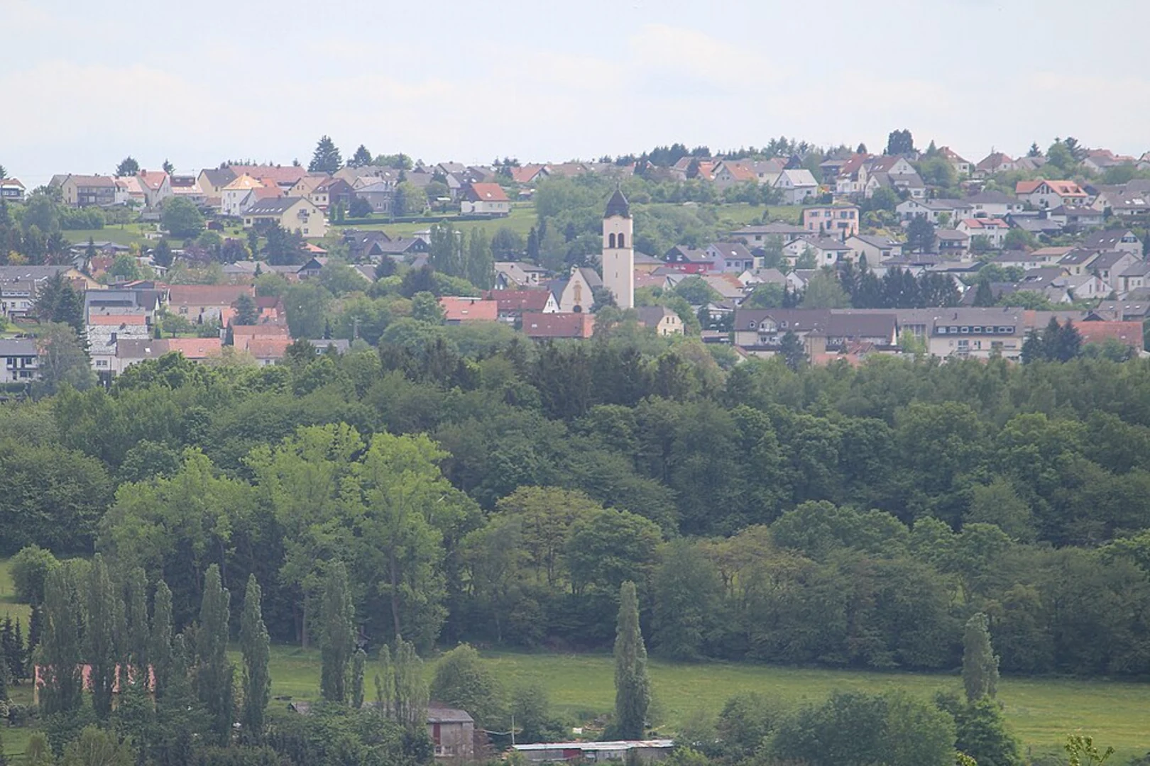 An image depicting the trail Libellenweg and its surrounding area.