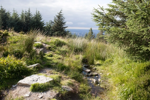 Dublin Mountains Way