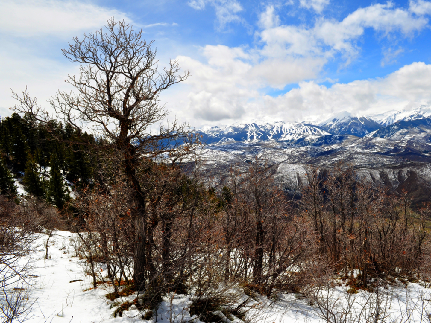 An image depicting the trail Red Rim Trail via Triangle Peak and its surrounding area.
