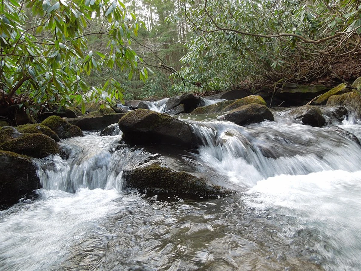 Quebec Run and Hess Trail Loop