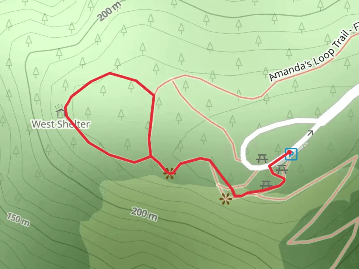 An image depicting the trail Whispering Spruce Loop Trail and its surrounding area.