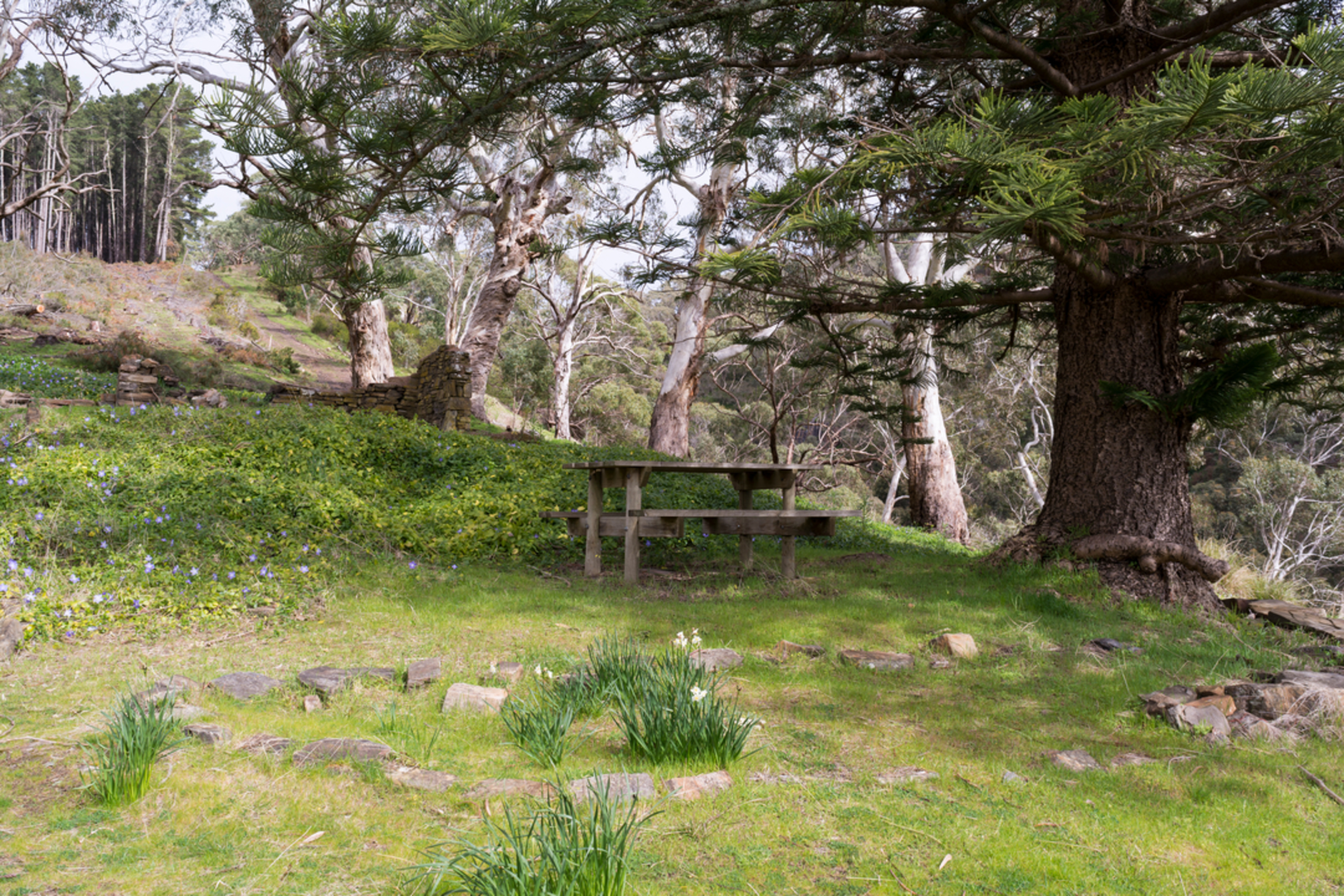 An image depicting the trail Wilampa Trail and its surrounding area.