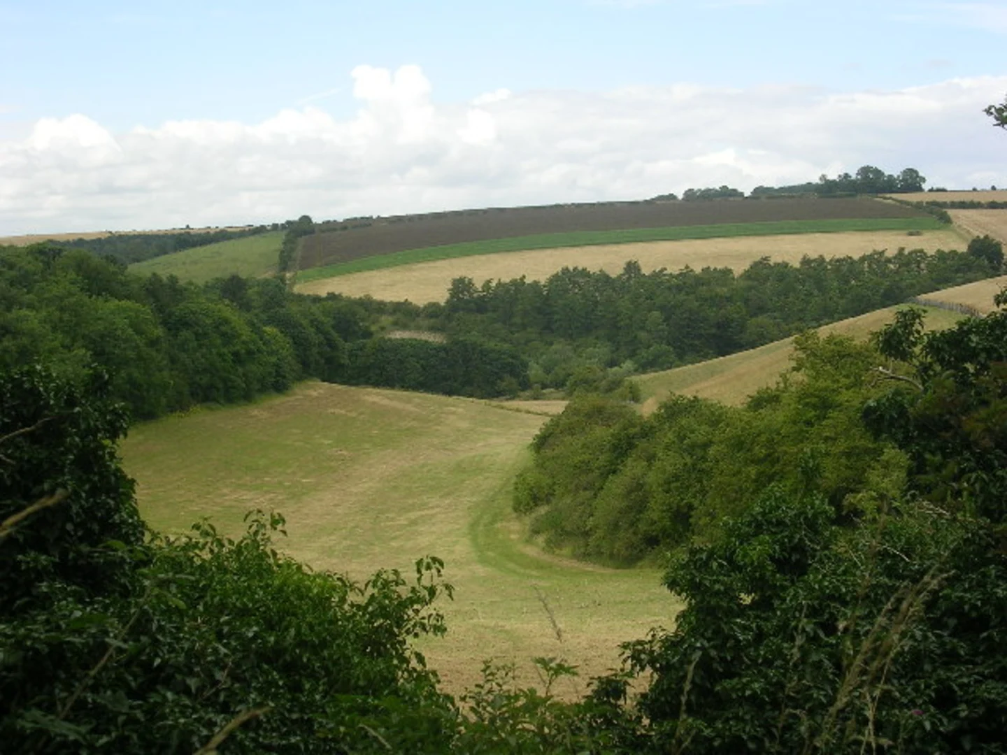 An image depicting the trail South Cave to Market Weighton Walk and its surrounding area.