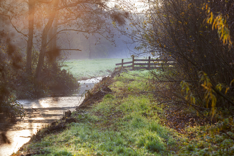 Loetbos and Ouderkerk aan den Ijssel Loop