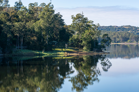 An image depicting the trail Narrows Lookout Track and its surrounding area.