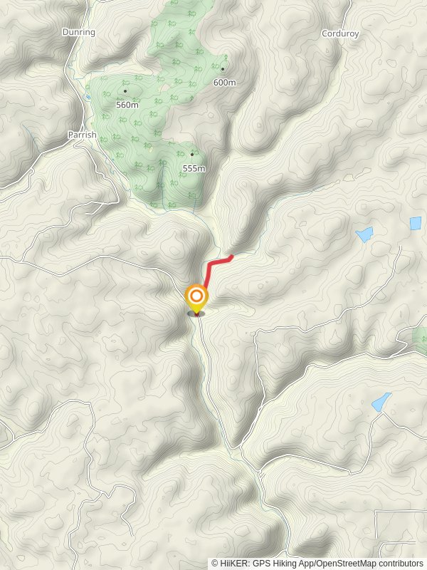 Spring Creek from Forest Road