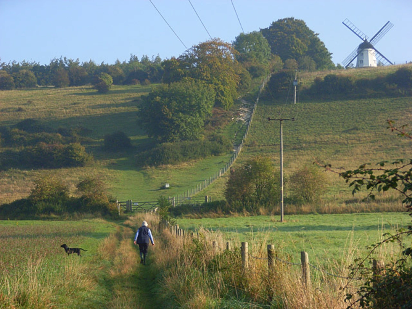 An image depicting the trail Hambleden to Turville Loop and its surrounding area.