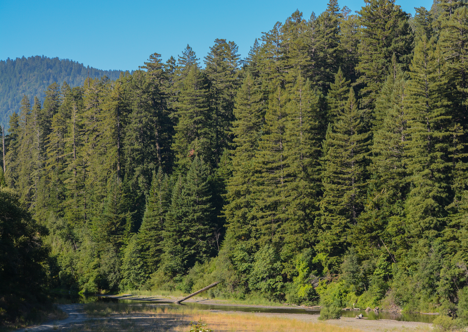 An image depicting the trail Drury-Chaney Loop Trail and its surrounding area.