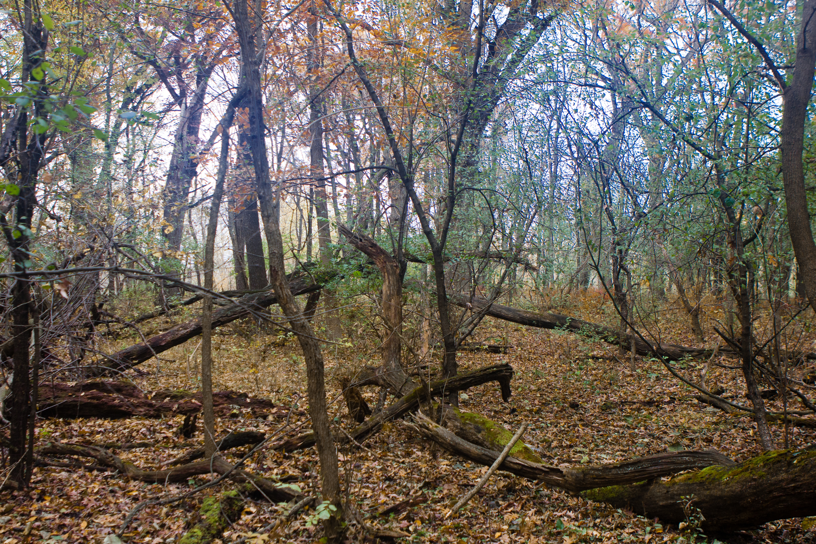 An image depicting the trail Fox River Trail - Illinois and its surrounding area.