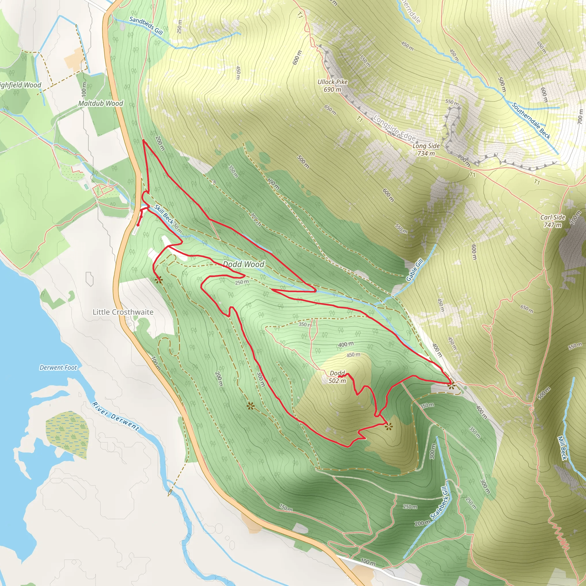 Dodd Wood Circular Walk mobile static map