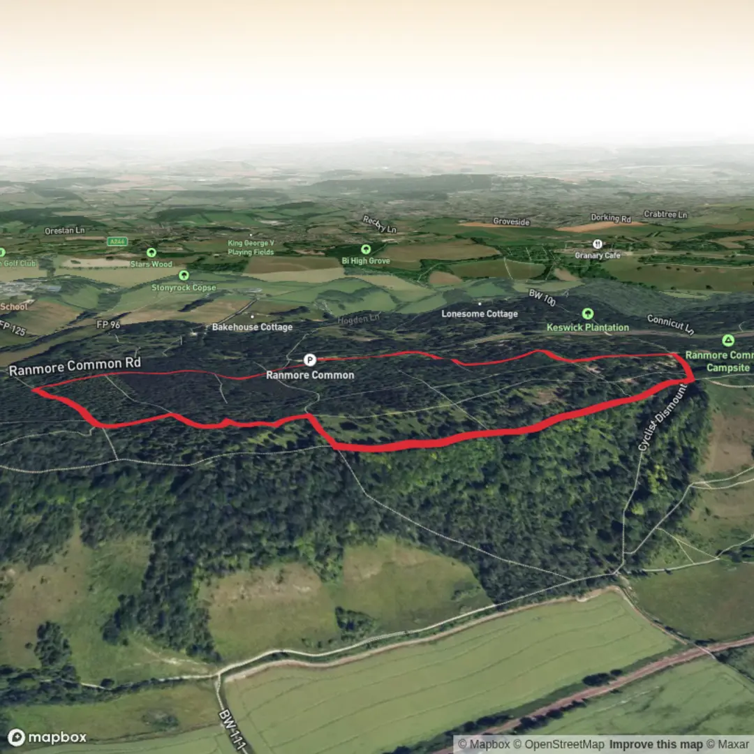 An image depicting the trail Ranmore_Common_Short_Circular and its surrounding area.
