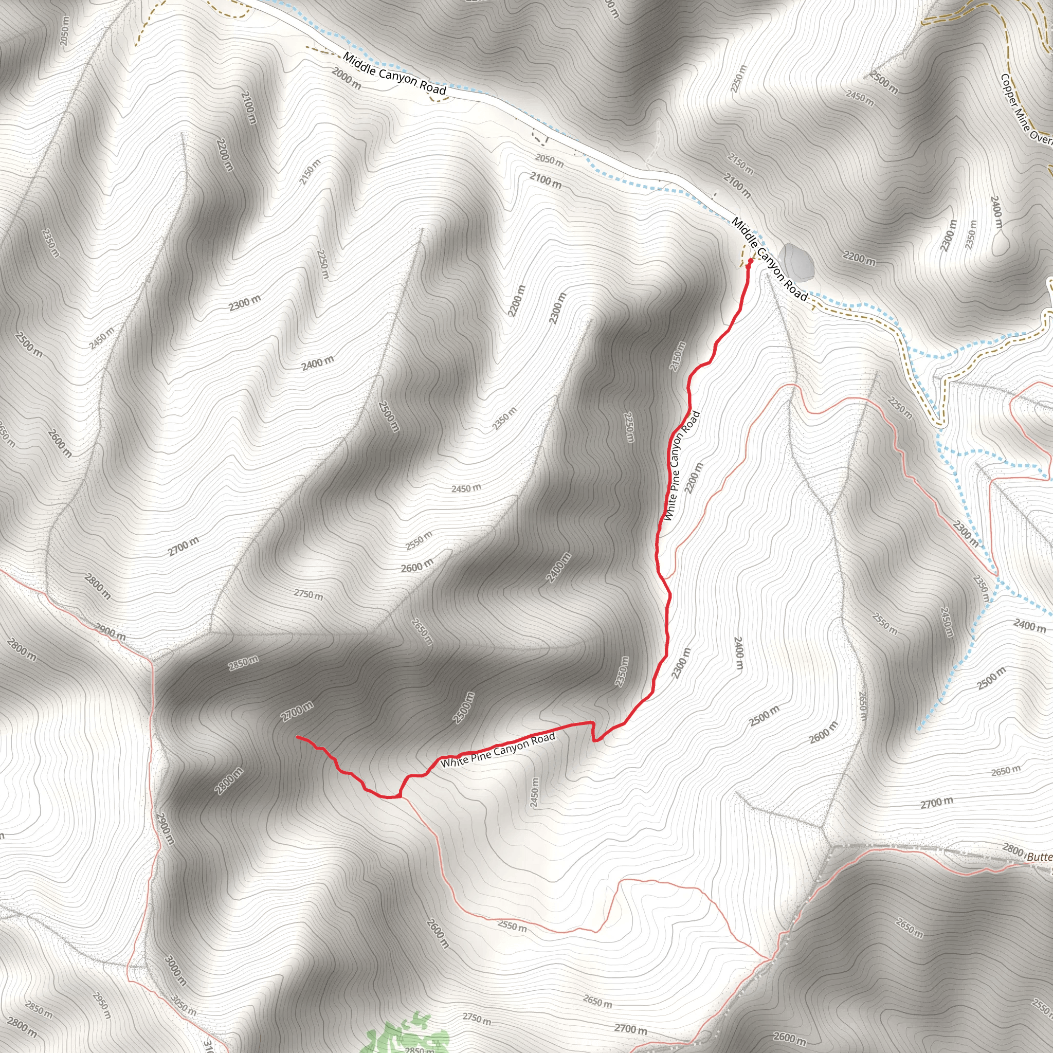 White Pine Flat Walk mobile static map