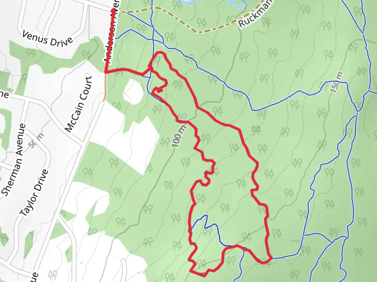 An image depicting the trail Wild Turkey and Yellow Dot Loop Trail and its surrounding area.