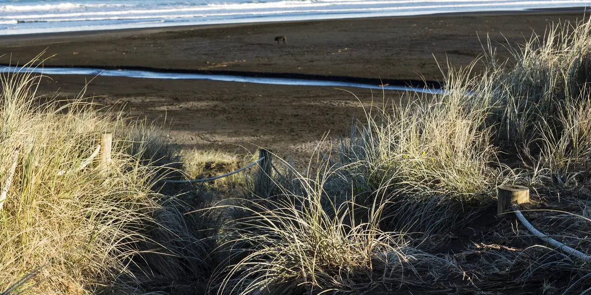 Fishermans Rock via White and Rose Track