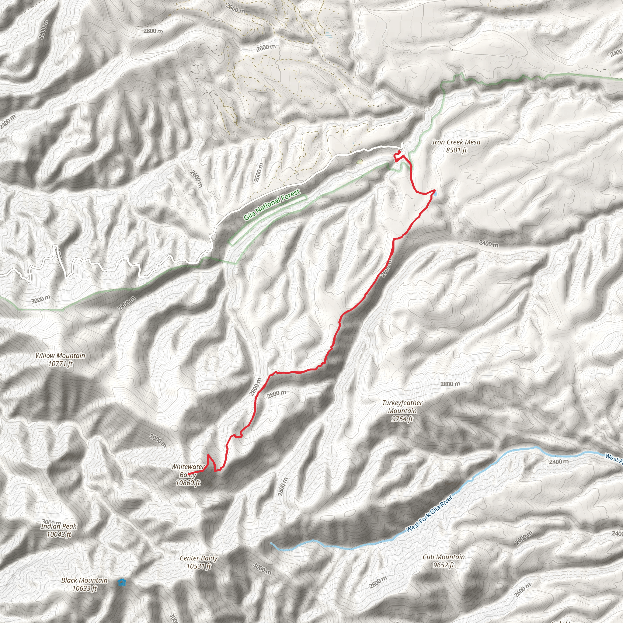 Whitewater Baldy, Iron Creek Lake via West Fork Trail mobile static map