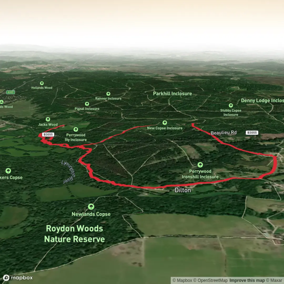An image depicting the trail vy Wood, Brockenhurst, Dilton & New Copse Loop! and its surrounding area.