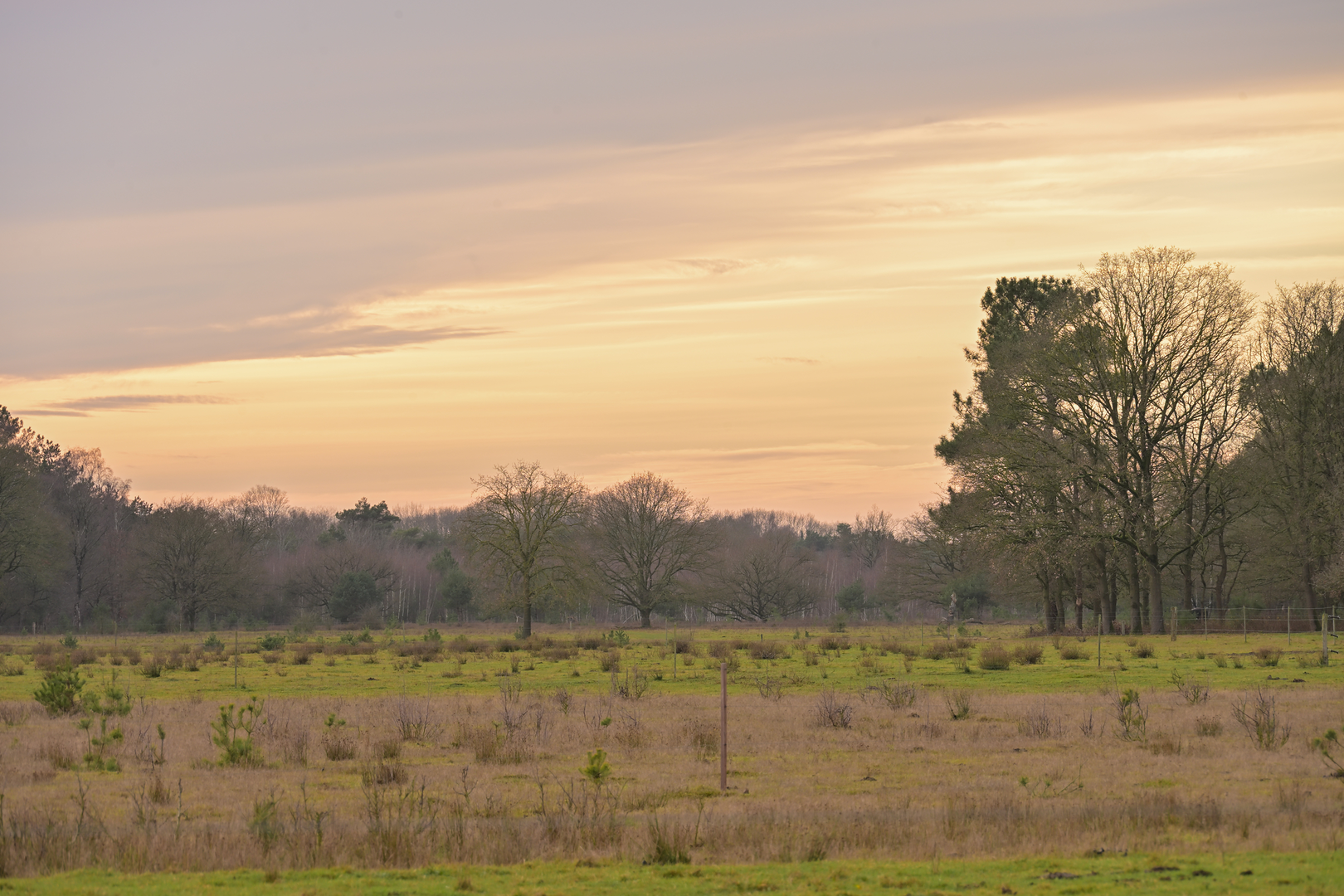 An image depicting the trail Hertogenpad, Millsebaan and Heufse Weg and its surrounding area.