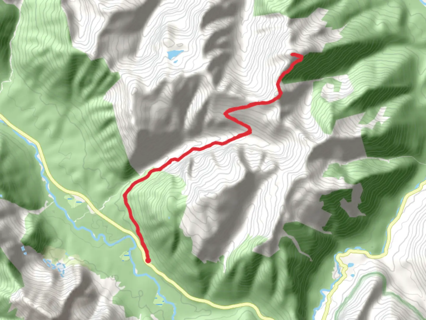 An image depicting the trail Mount Forgotten via Perry Creek Trail and its surrounding area.