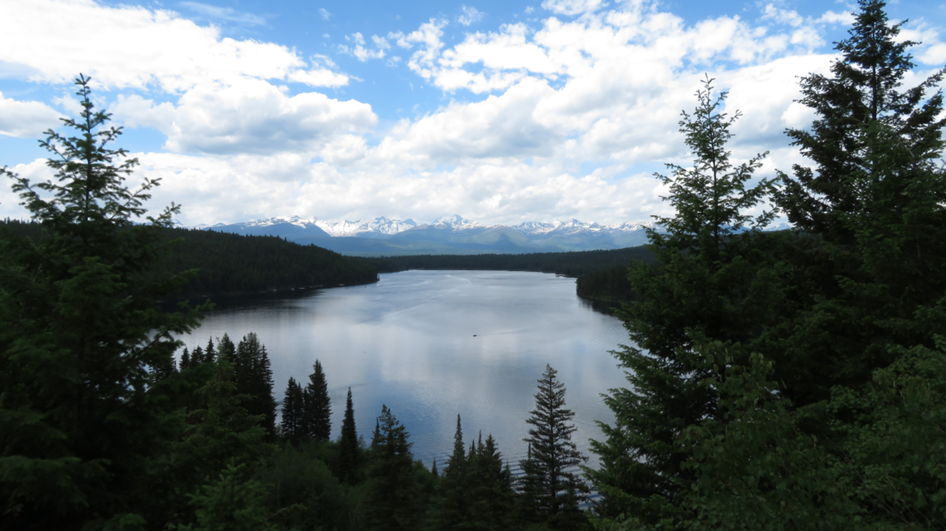 An image depicting the trail Sapphire - Smokey Trail via Holland Lake and its surrounding area.