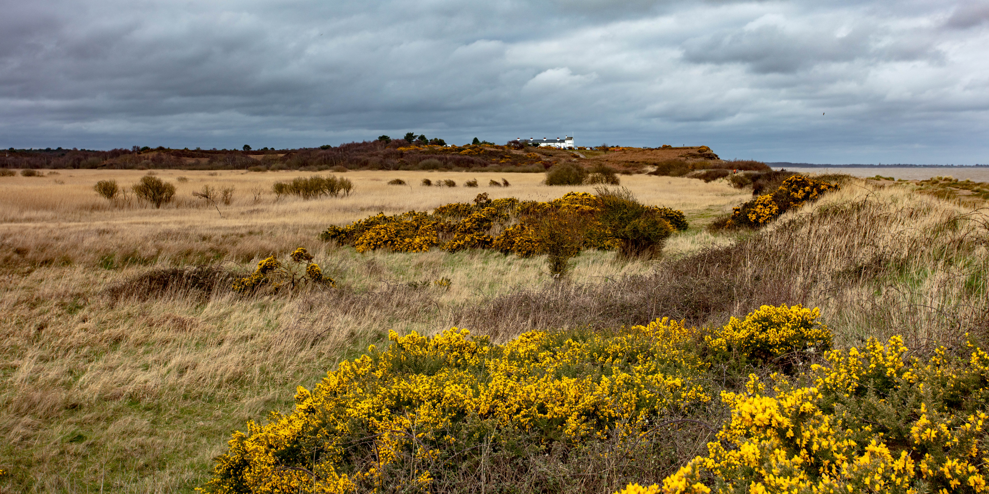 An image depicting the trail Dunwich Heath and Beach - Mount Pleasant Farm Walk - Suffolk and its surrounding area.
