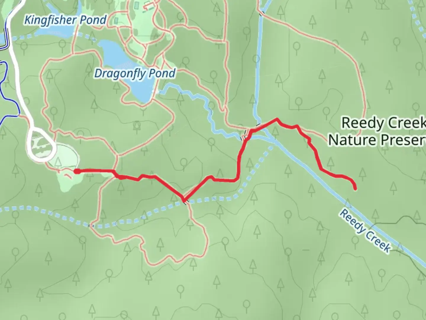 An image depicting the trail Umbrella Tree Trail and South Fork Trail and its surrounding area.