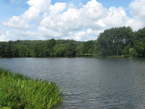 An image depicting the trail Allestree Park Lake and Allestree Park Loop and its surrounding area.