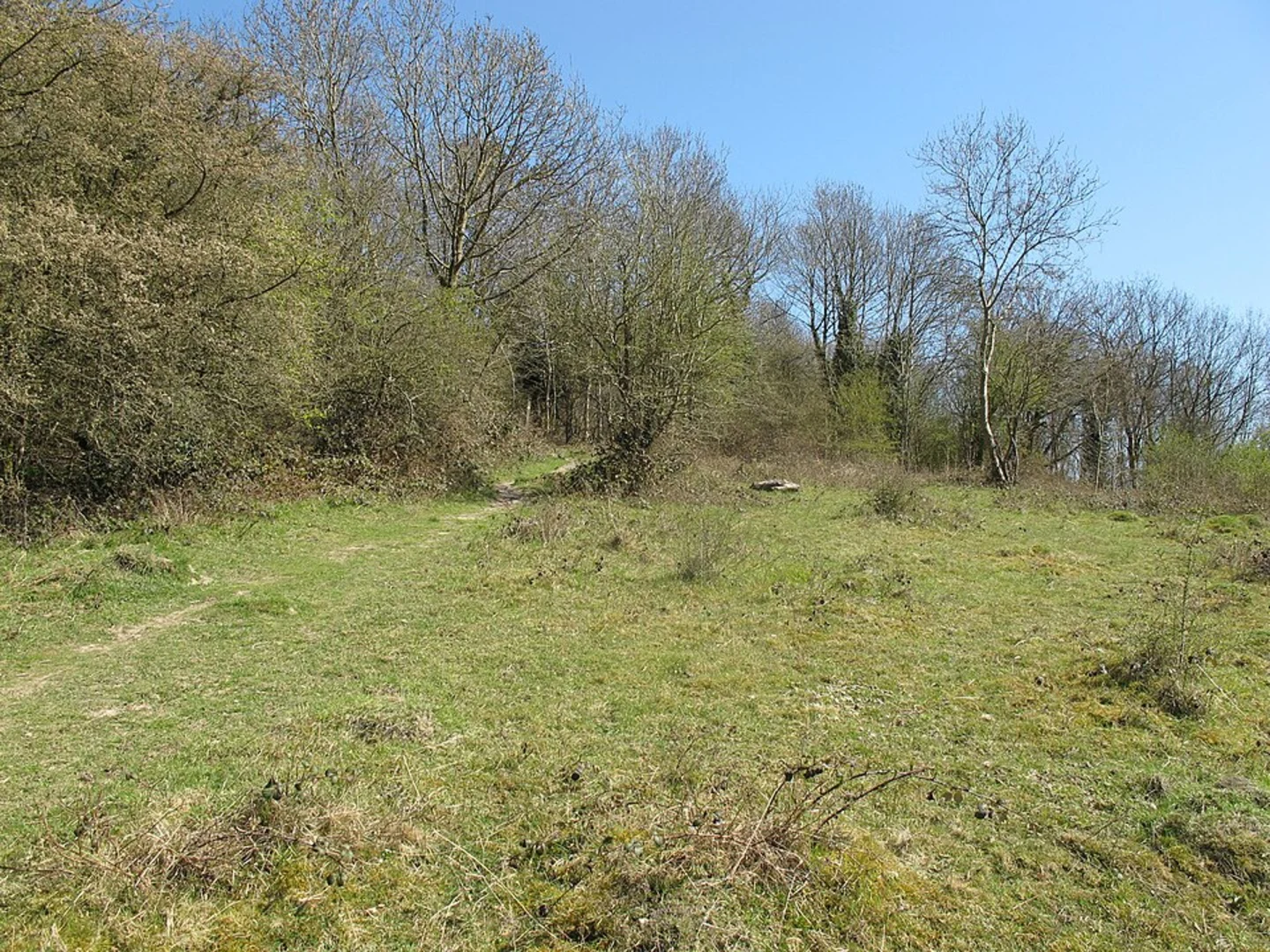 An image depicting the trail Bledlow Ridge and West Wycombe Loop and its surrounding area.